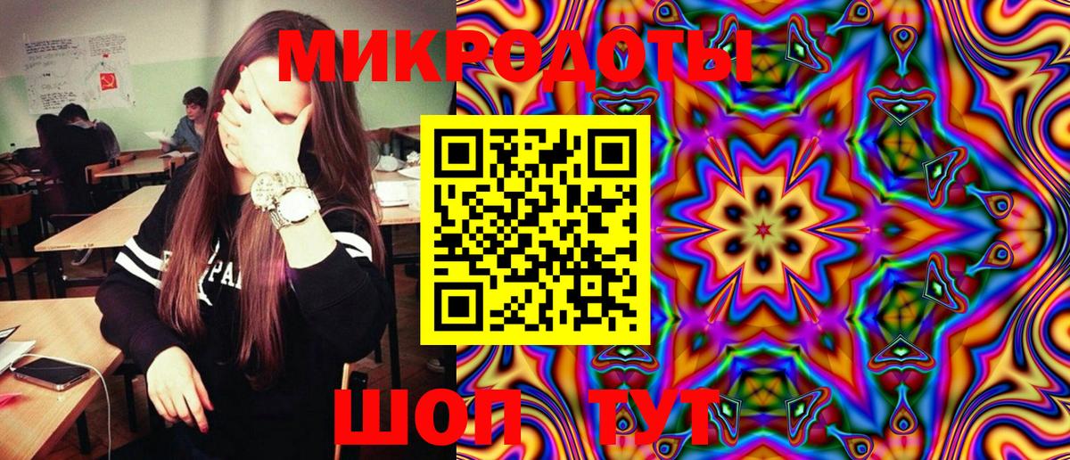 Псилоцибиновые грибы Psilocybe Лениногорск