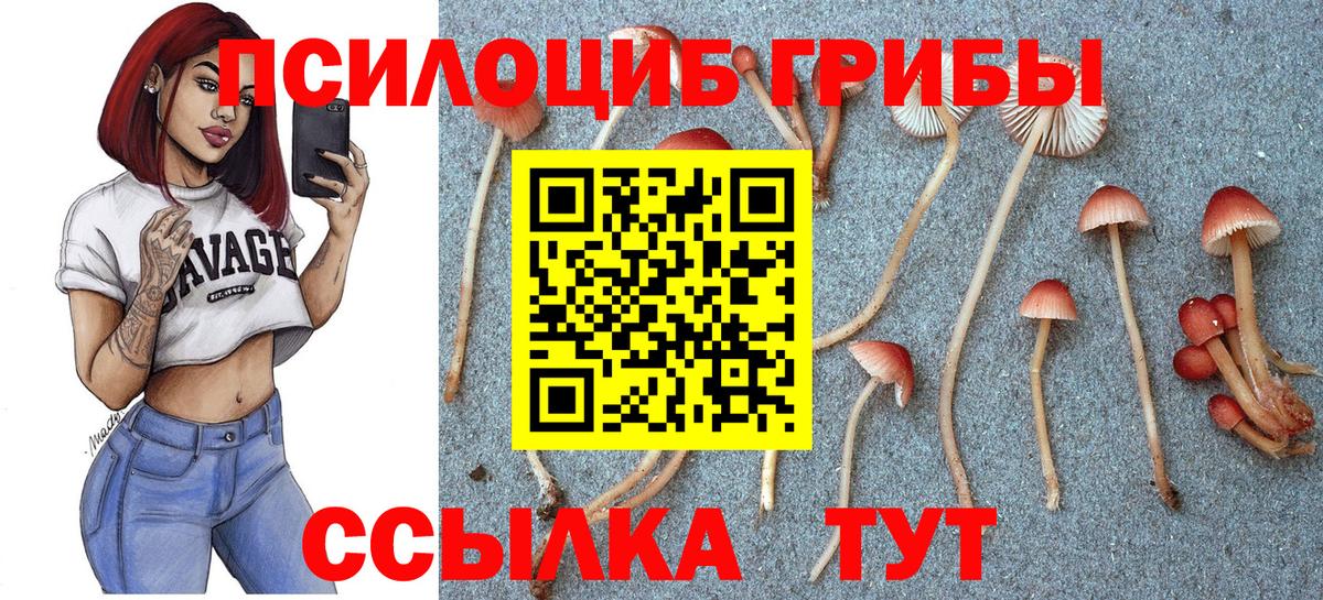 Псилоцибиновые грибы мицелий  Вход с VPN  Лениногорск  Псилоцибиновые грибы прущие грибы 